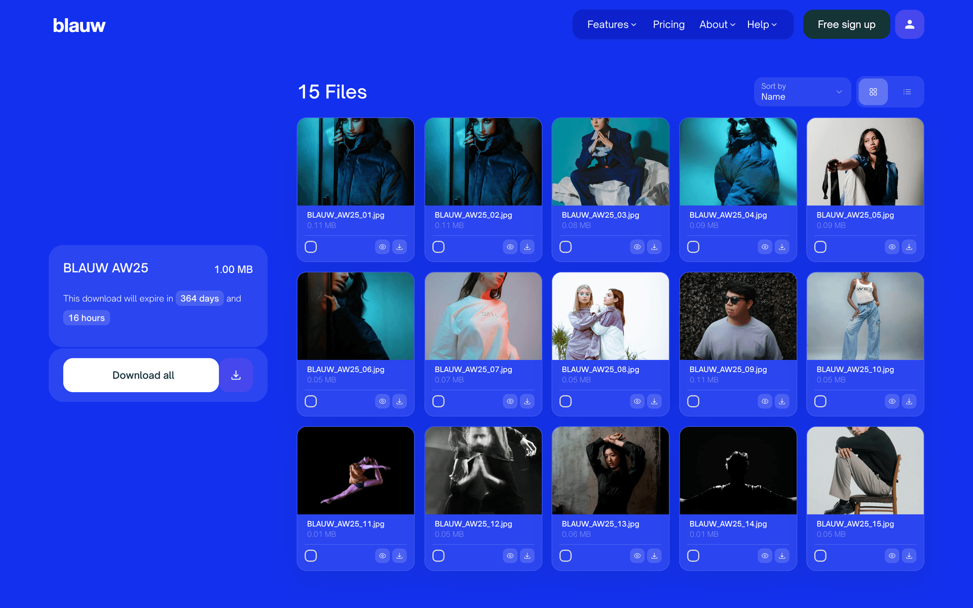 A Classic download page styled entirely in a brand's electric blue, from the wordmark to the download button